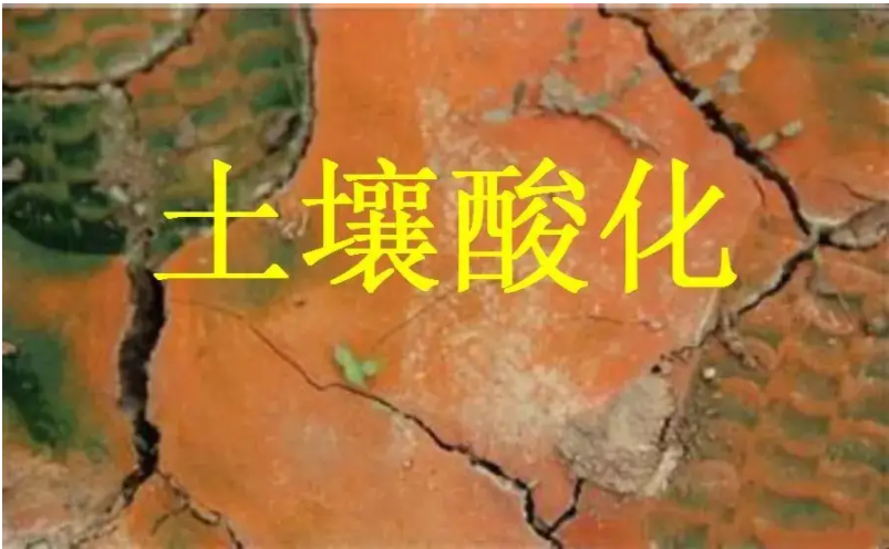 識(shí)別土壤“病”，土壤測(cè)試儀器是如何提高土壤免疫力的？